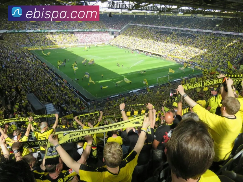 pa真人视讯品牌故事